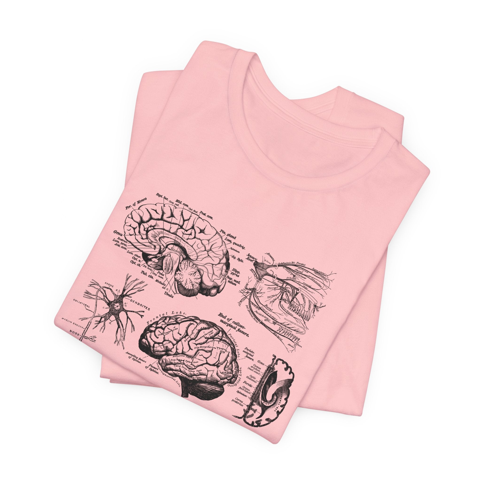 Folded_10_8813c603-541f-43a3-a5b4-6d590d54228f Neuro Anatomy T-Shirt - Image 9