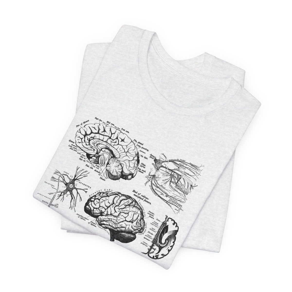 Neuro Anatomy T-Shirt - Image 11