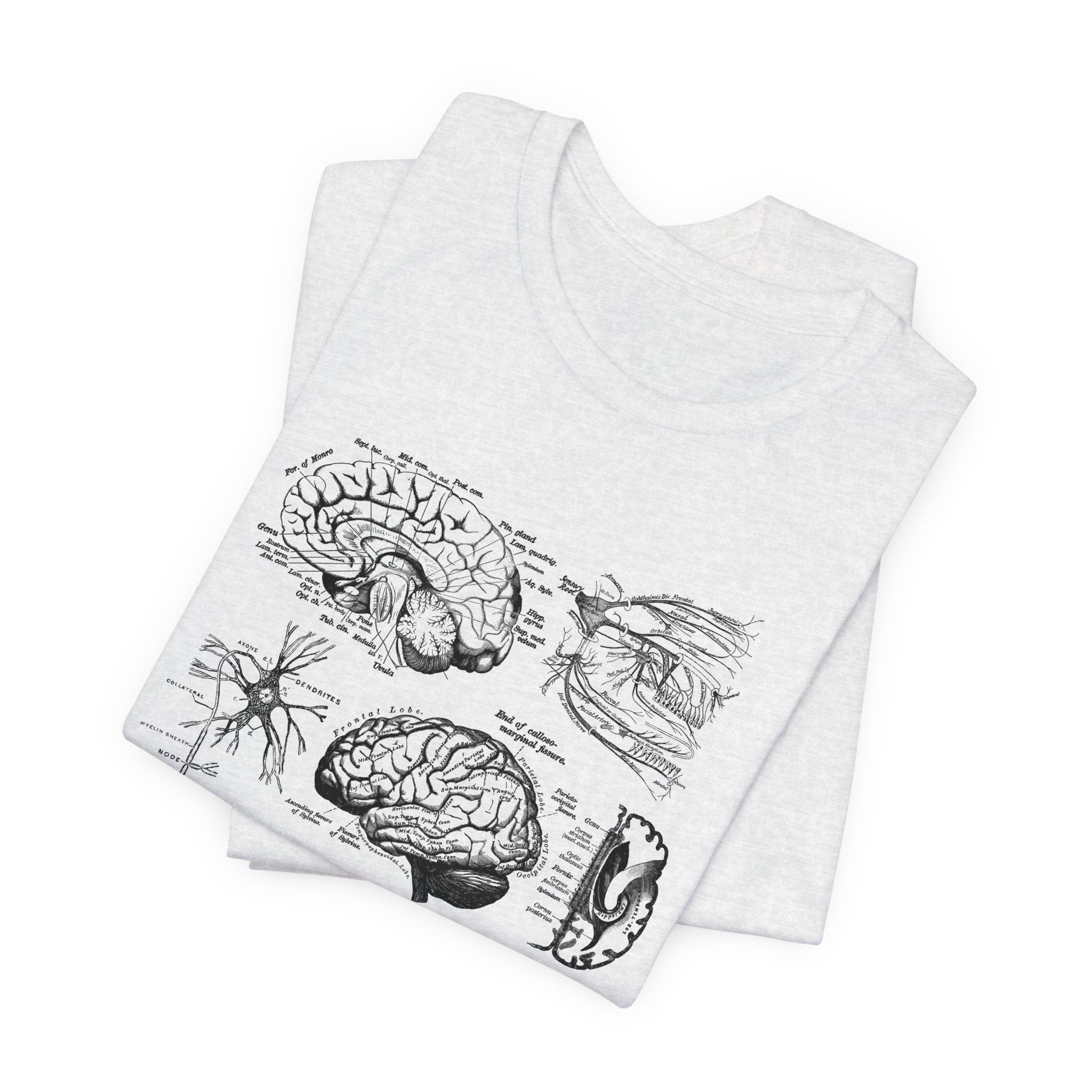 Folded_2_47479f97-07f6-4feb-97da-82733548904a Neuro Anatomy T-Shirt - Image 11