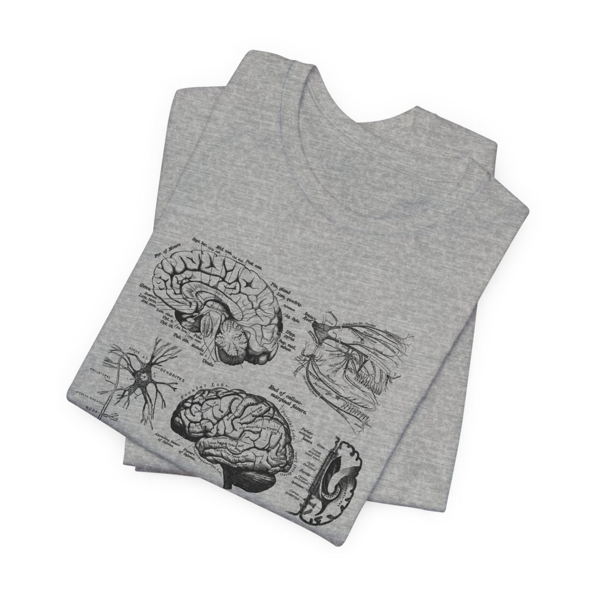 Neuro Anatomy T-Shirt - Image 4