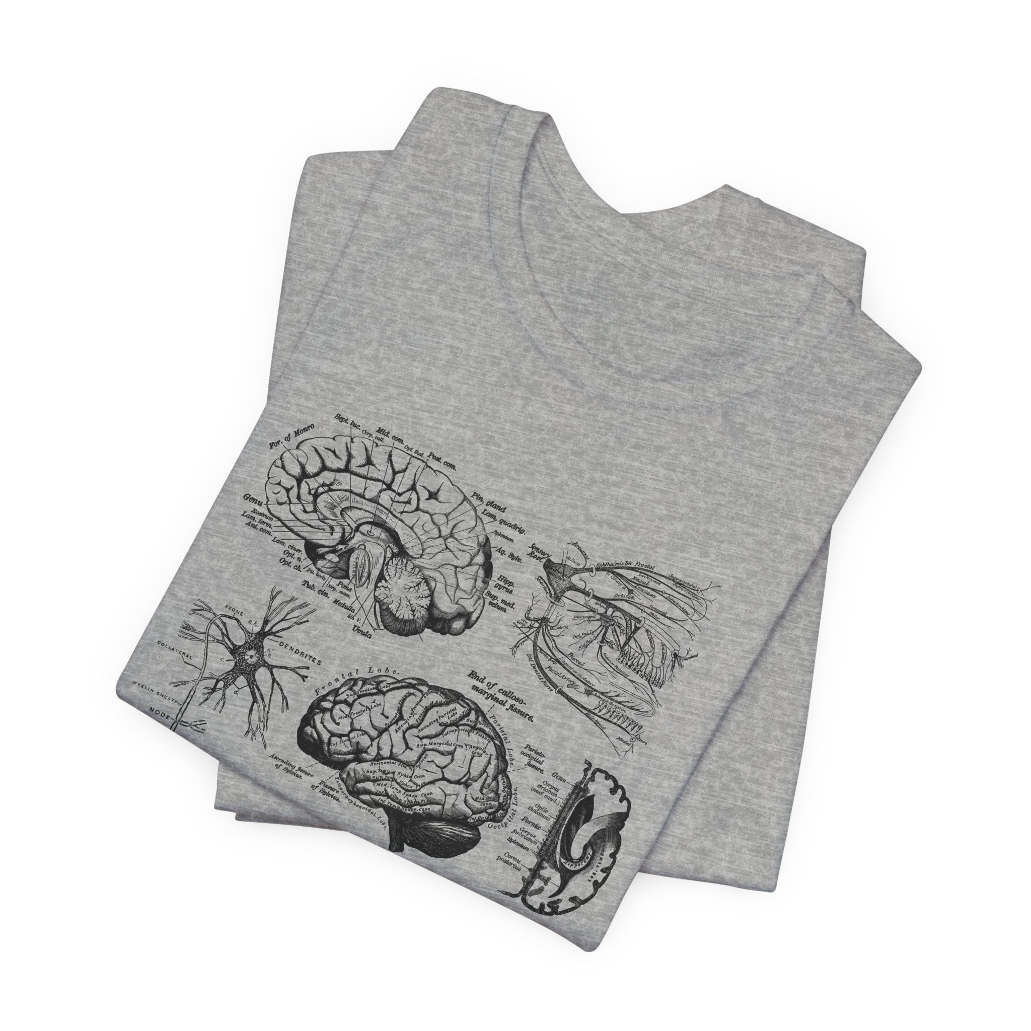 Folded_3_59db797e-c667-455c-b072-7b2691a4854c Neuro Anatomy T-Shirt - Image 4