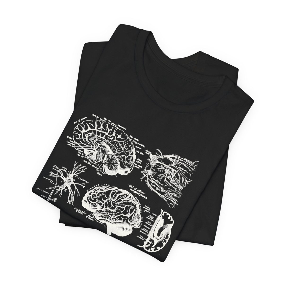 Neuro Anatomy T-Shirt - Image 5