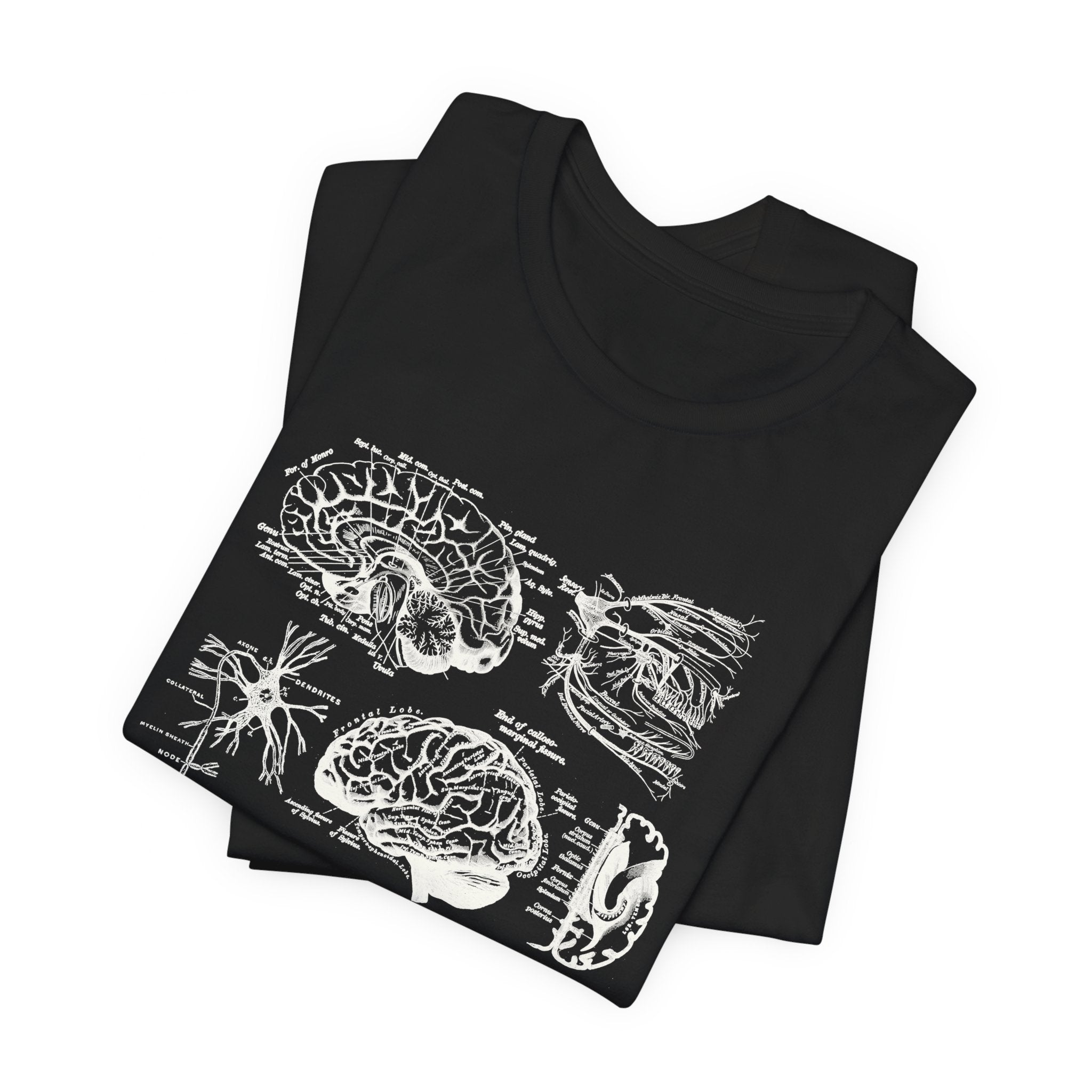 Folded_4_a3391499-210f-448c-a0f5-85b6f61b232b Neuro Anatomy T-Shirt - Image 5
