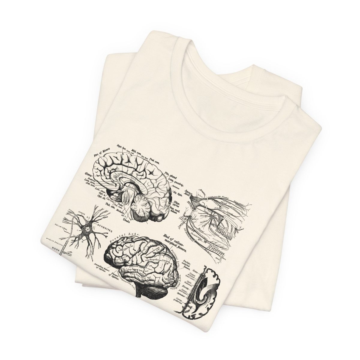 Neuro Anatomy T-Shirt - Image 7