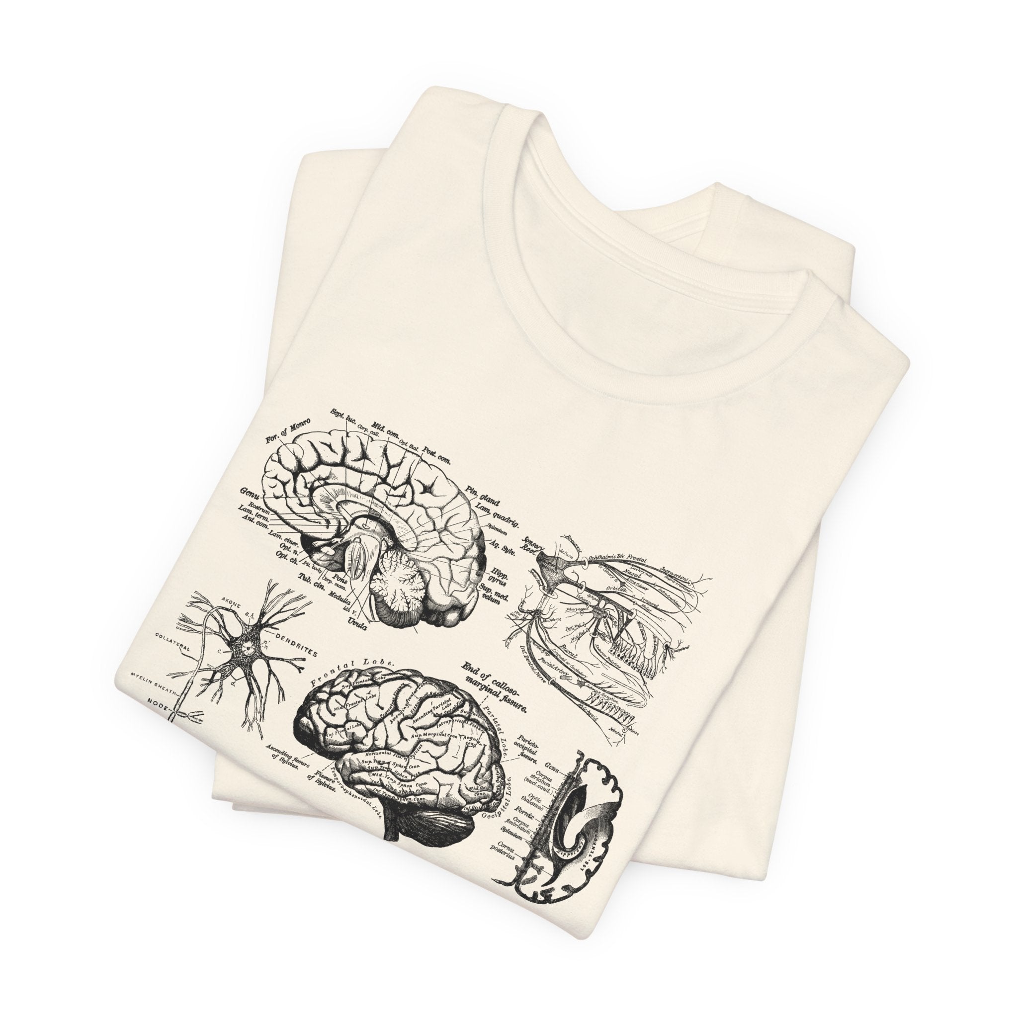 Folded_6_4dc8549a-b7da-464f-9df6-77738f321cf2 Neuro Anatomy T-Shirt - Image 7