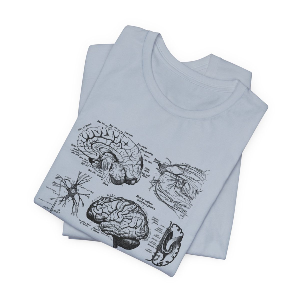 Neuro Anatomy T-Shirt - Image 6