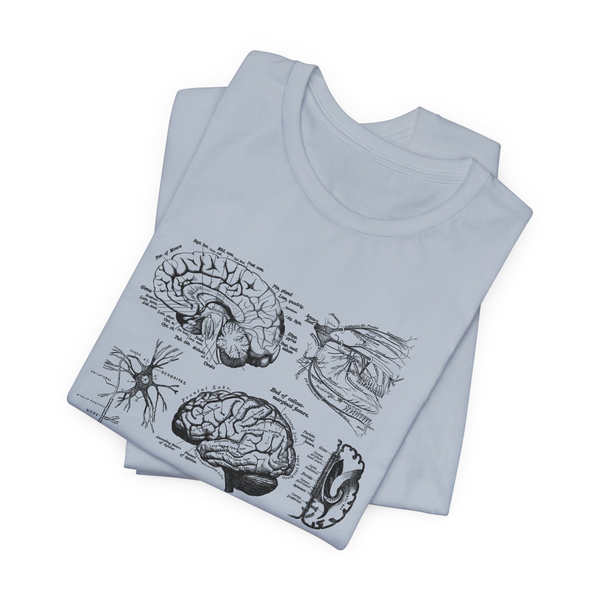 Folded_7_afc9ba41-df1b-4e9c-821f-5bd162f45a8c Neuro Anatomy T-Shirt - Image 6
