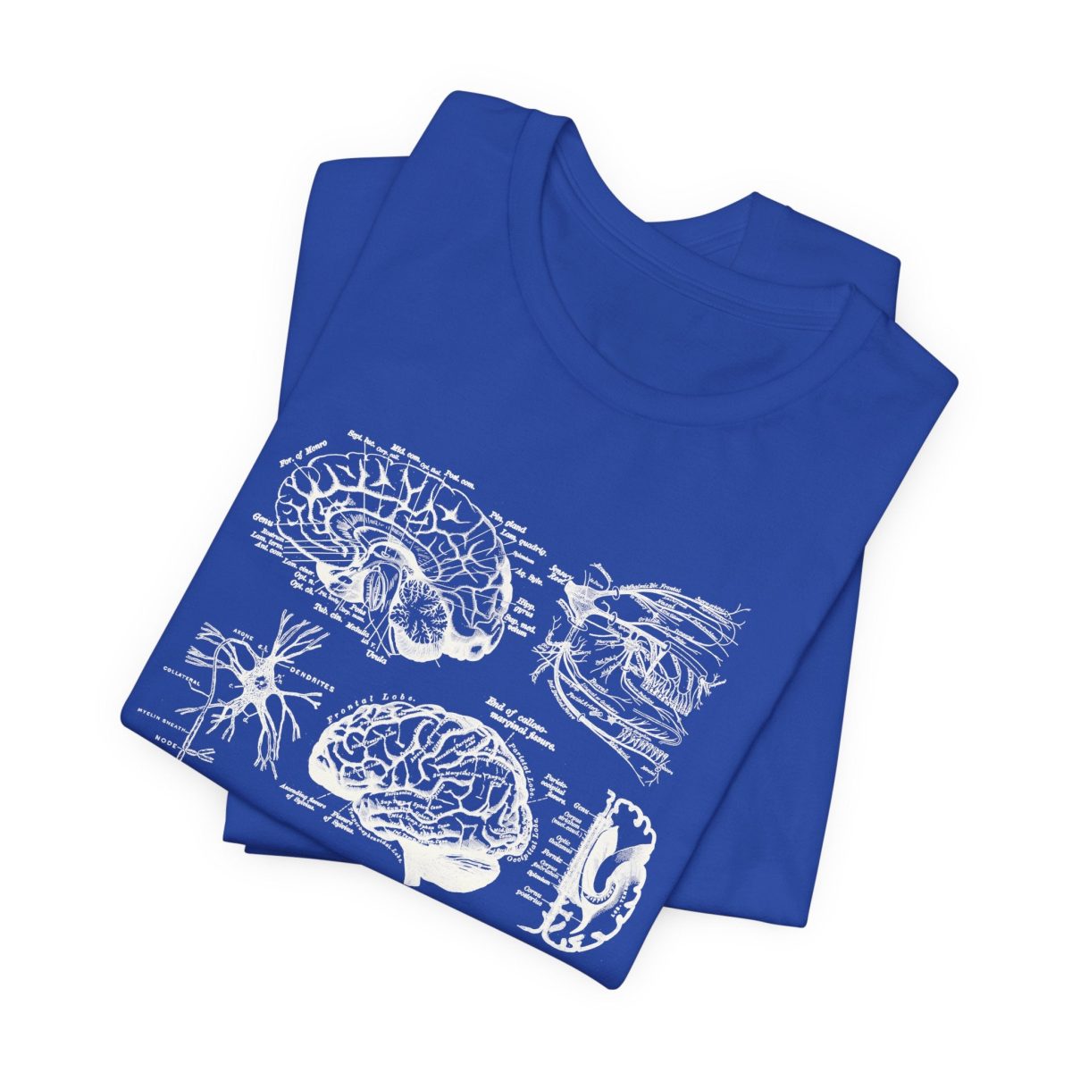 Neuro Anatomy T-Shirt - Image 10